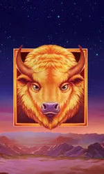 Buffalo's Sun 2
